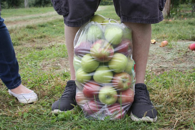 highland_orchards_apple_bag