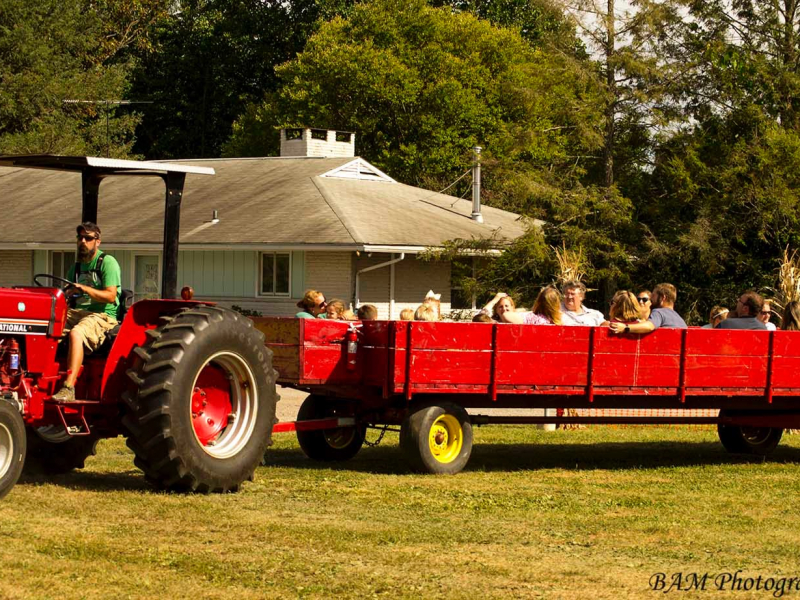 Highland Orchards tractor ride