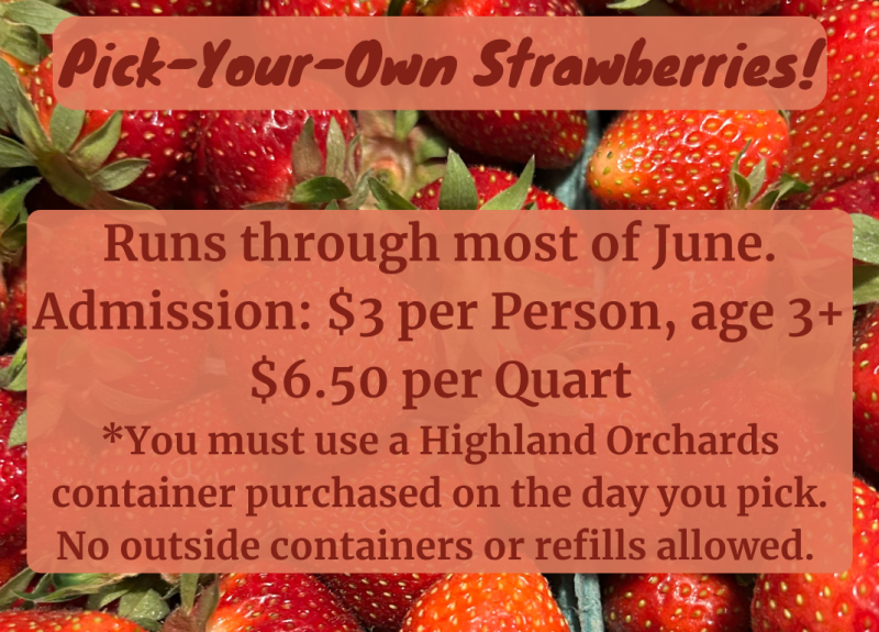 pyo-strawberries-website